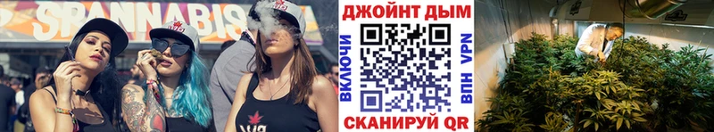 Бошки Шишки конопля  где купить наркотик  Чегем 